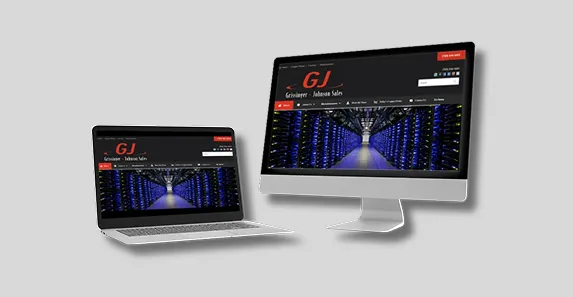 Case Study - 55-Year-Old Electrical Manufacturer Rep